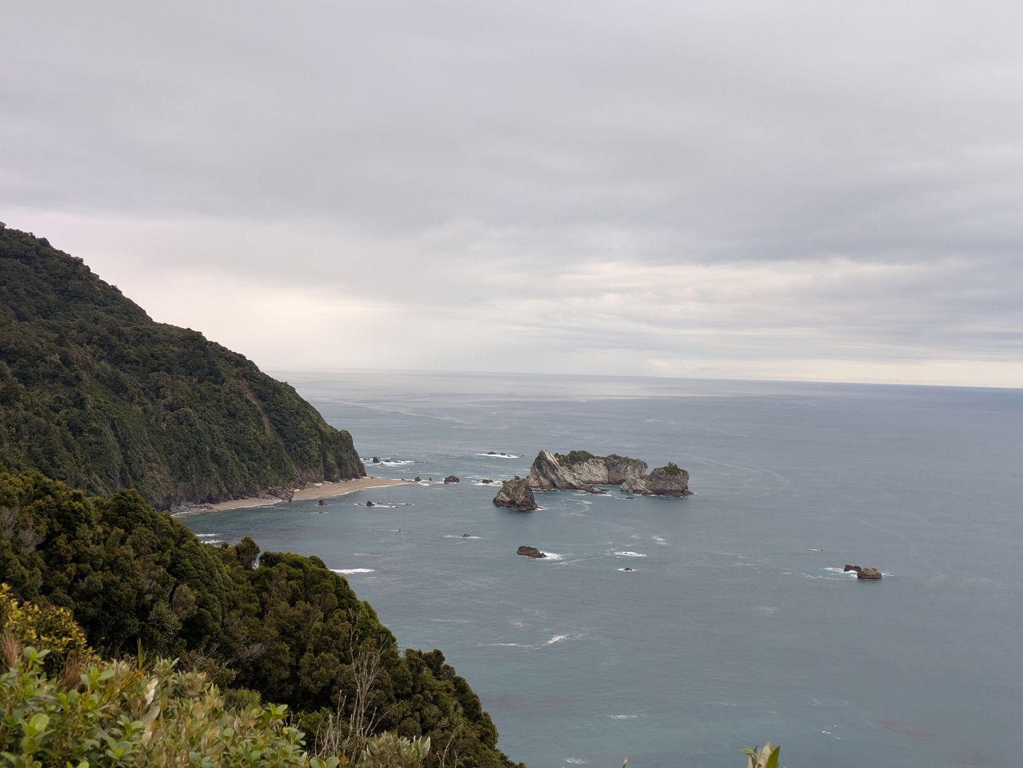 Sea stacks off a forested headland on New Zealand's West Coast, looking across the Tasman Sea under a low overcast sky